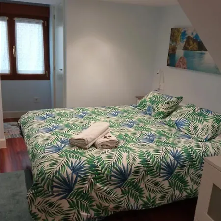 Nardiz Etxea Apartament *